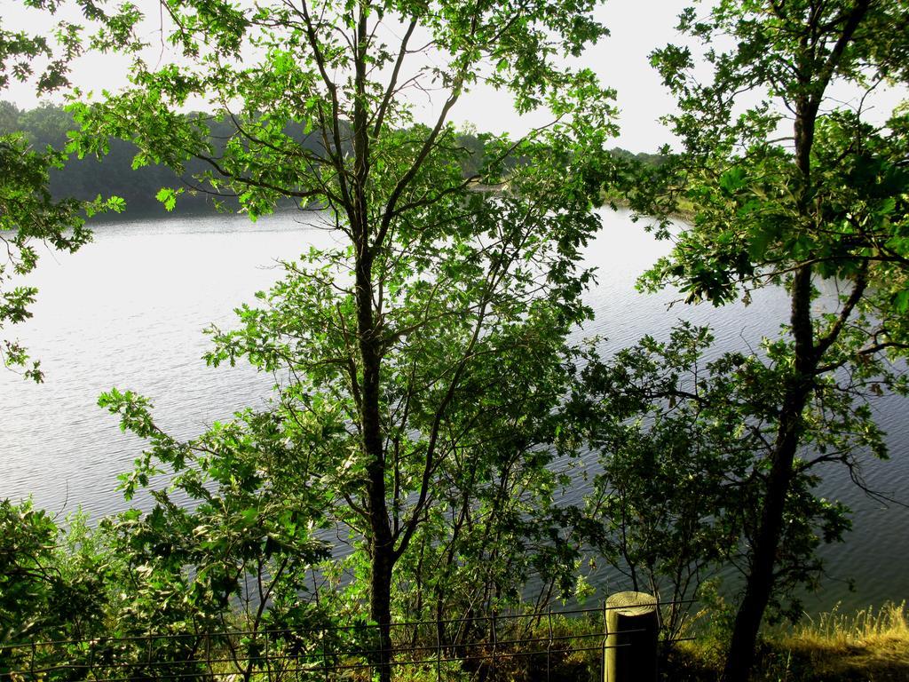 Penzion La Buenaventura Del Tietar Casavieja Pokoj fotografie